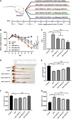 Moringa oleifera leaf polysaccharide alleviates experimental colitis by inhibiting inflammation and maintaining intestinal barrier